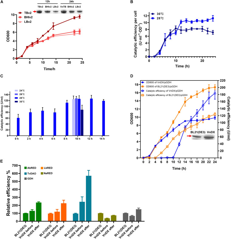 FIGURE 3