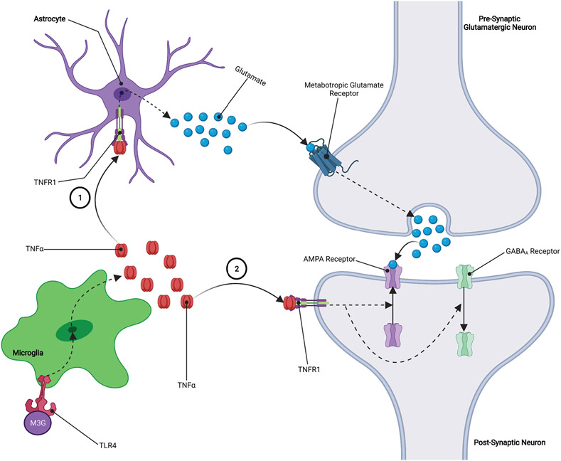 Figure 2: