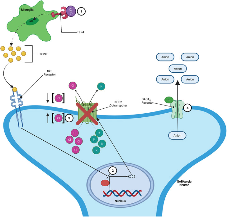 Figure 5: