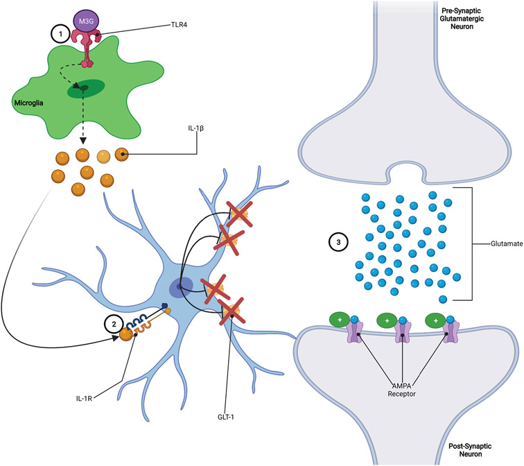 Figure 4: