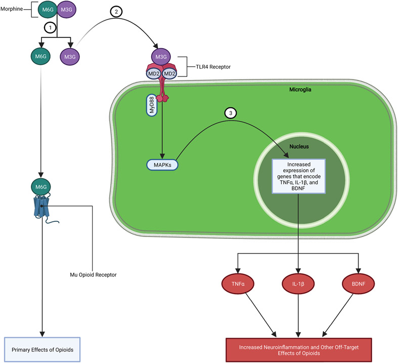 Figure 1: