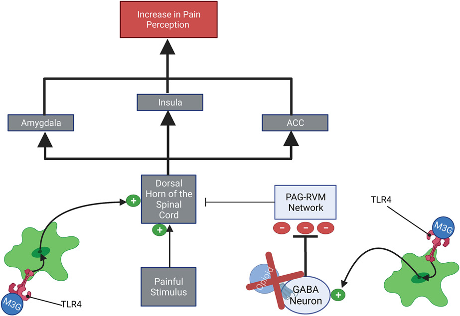 Figure 10: