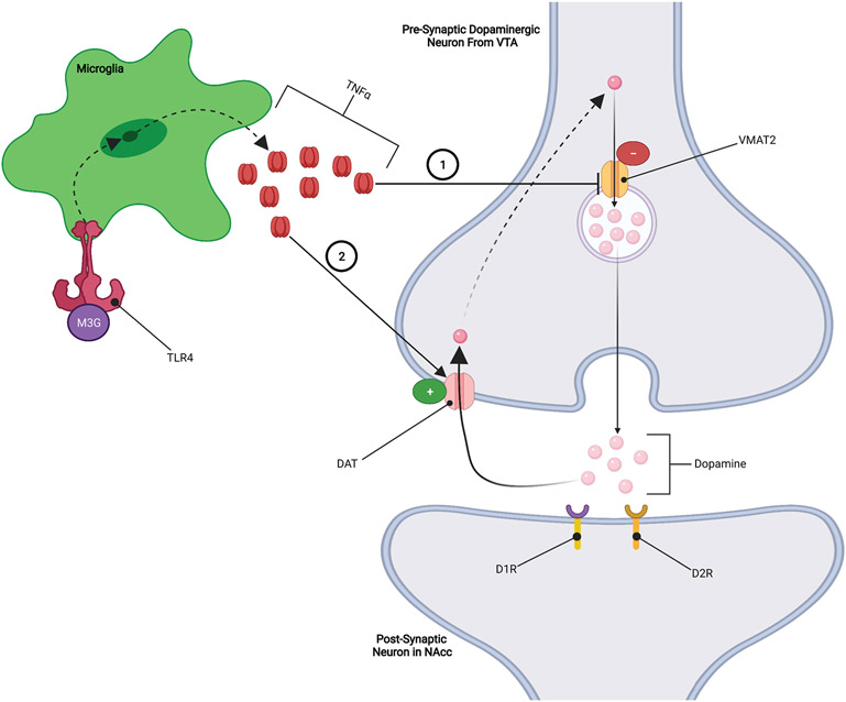 Figure 3: