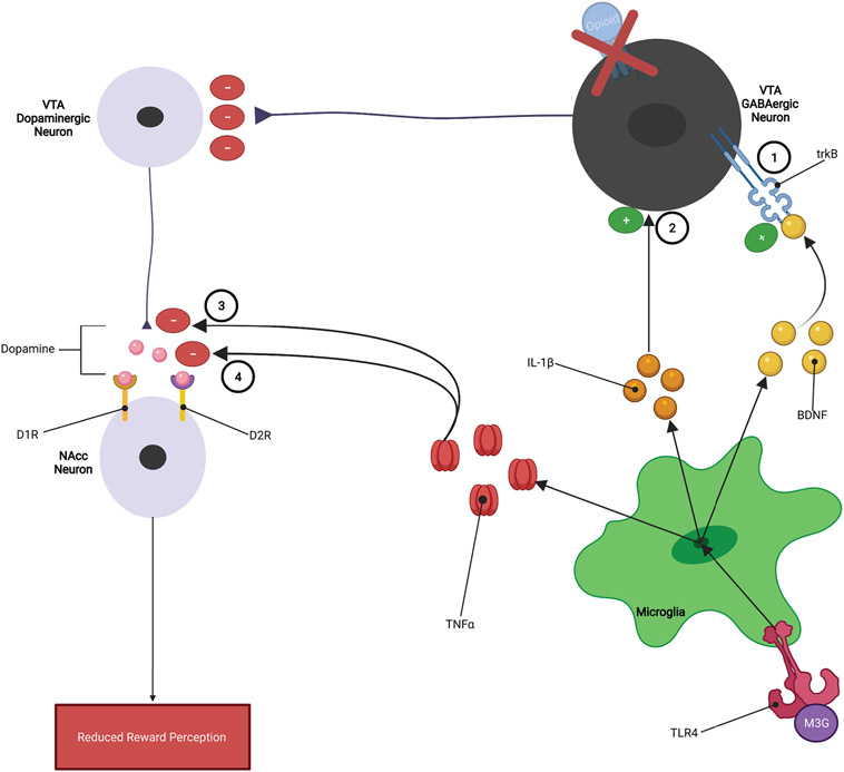 Figure 7: