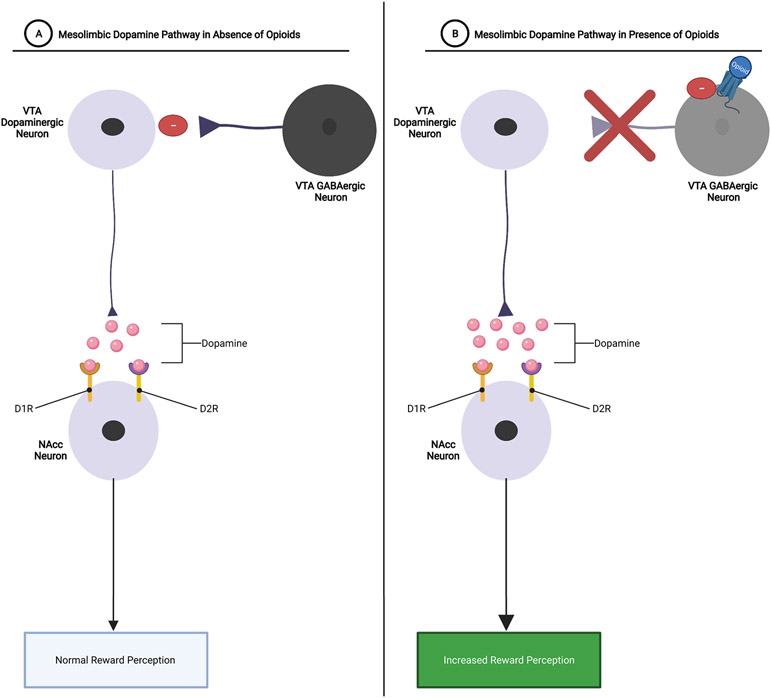 Figure 6: