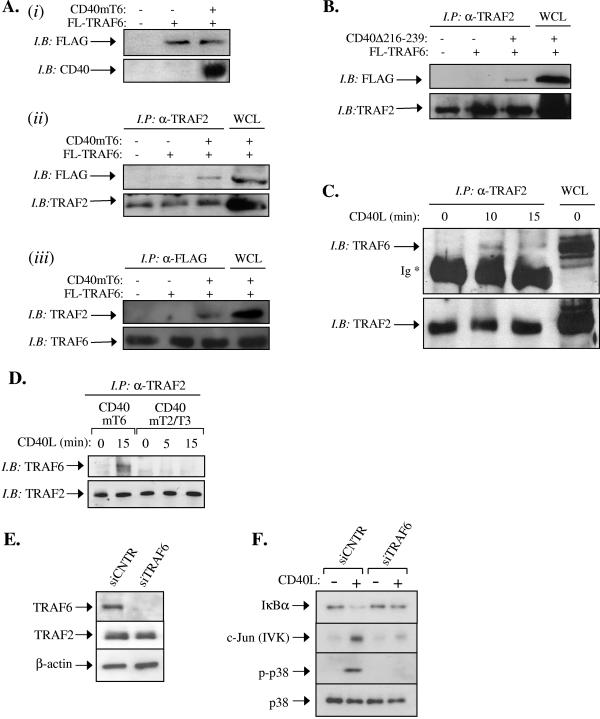 FIG. 8.