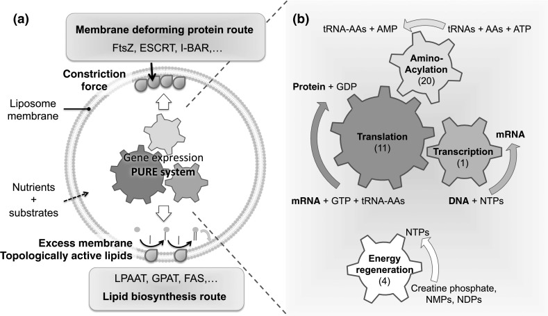 Fig. 2