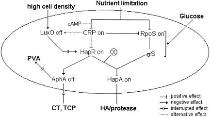 FIG. 8.