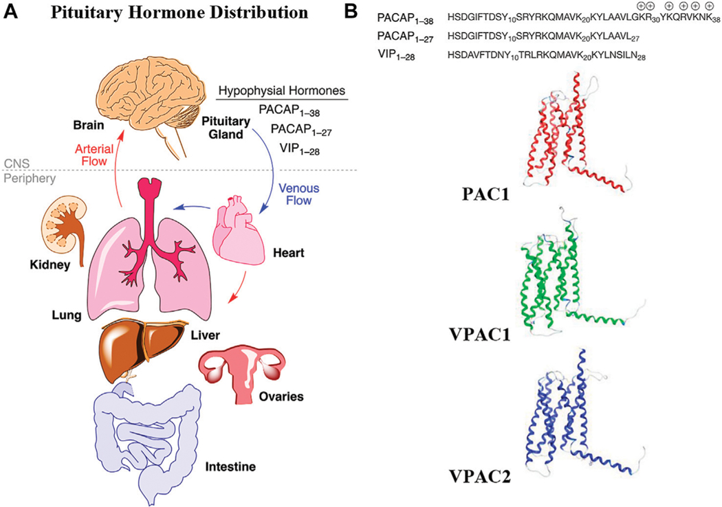 FIGURE 1 |