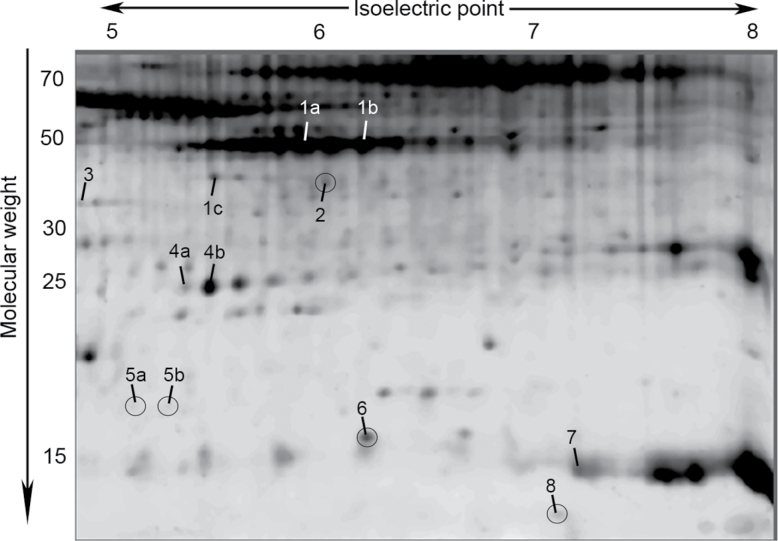 Figure 3.