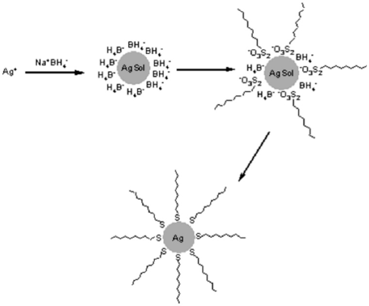 Scheme 4