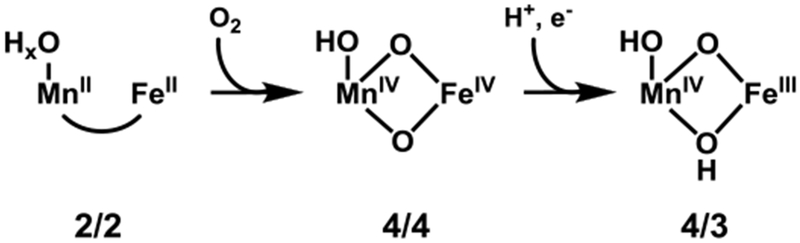 Scheme 1.