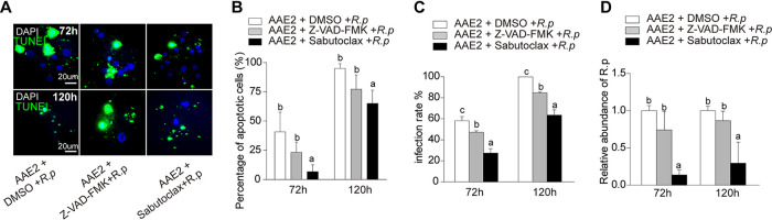 FIG 3