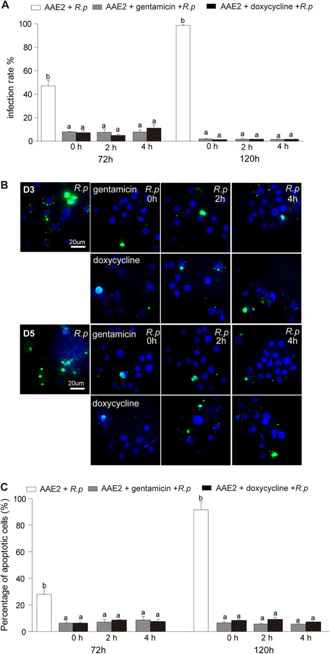 FIG 6