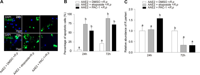 FIG 4