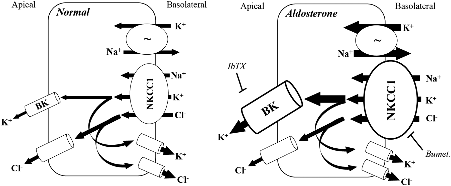 Figure 7.