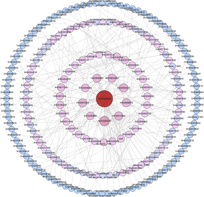 FIGURE 4