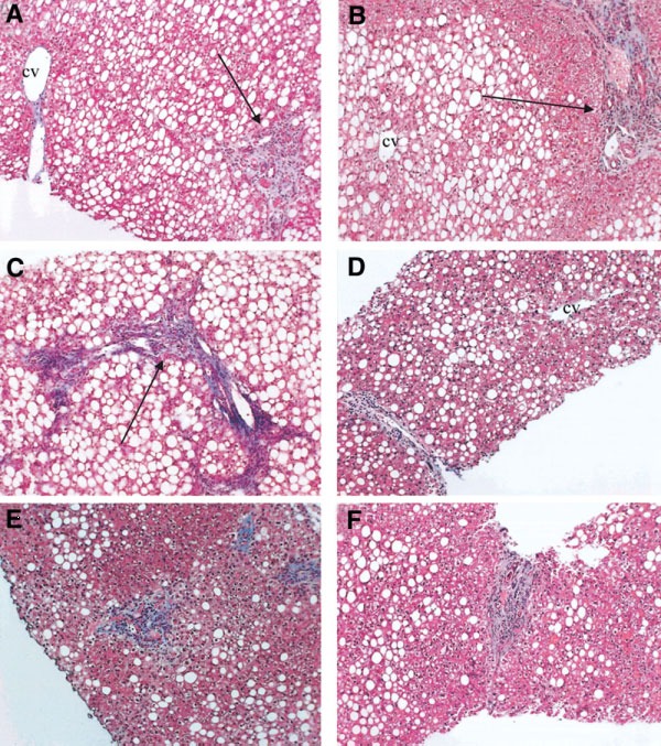 Fig.2