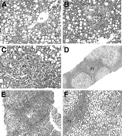 Fig.3