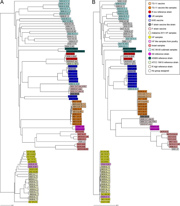 FIG 2