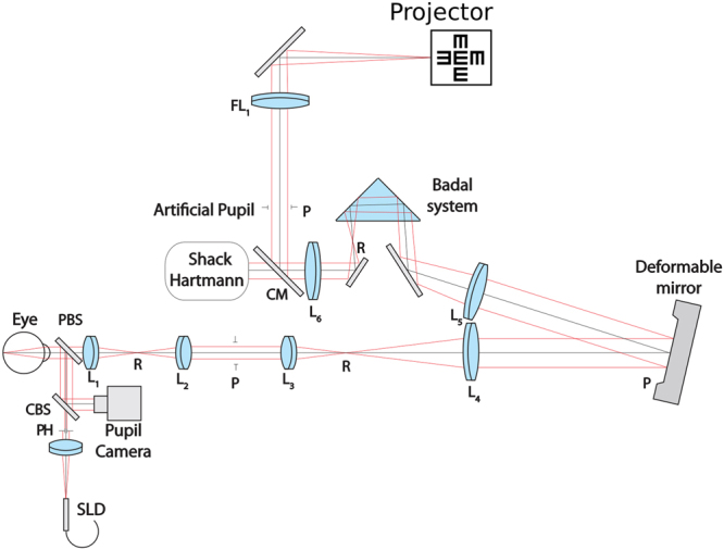 Figure 7