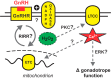 Figure 10.