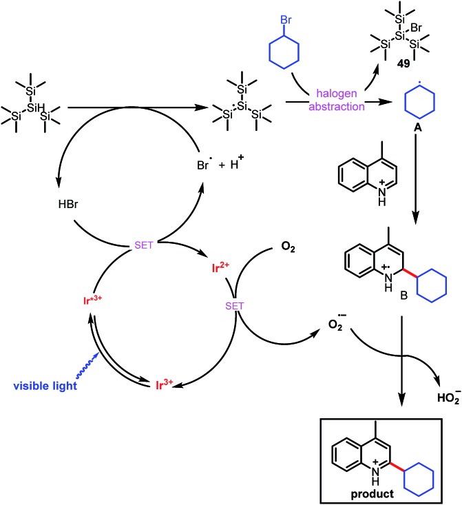 Scheme 3