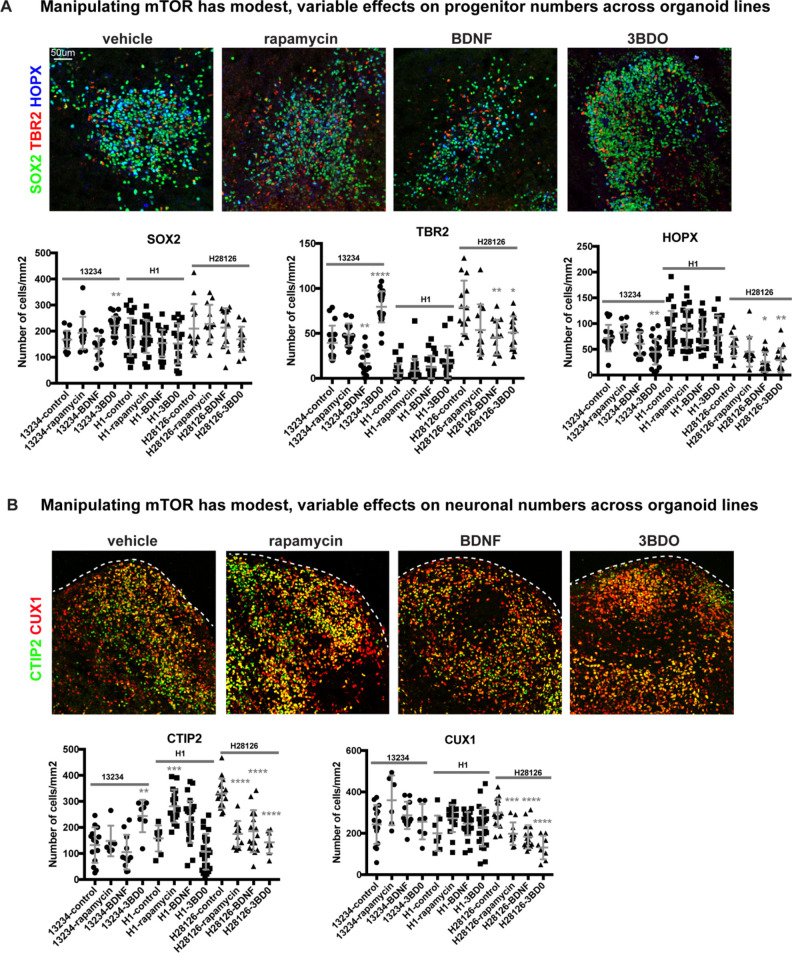 Figure 2—figure supplement 4.