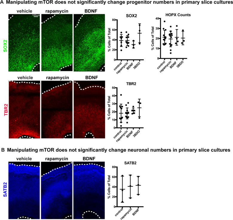 Figure 2—figure supplement 3.