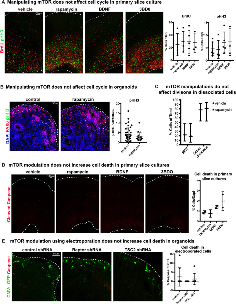 Figure 2—figure supplement 5.