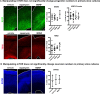Figure 2—figure supplement 3.