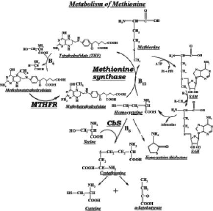 Figure 1)