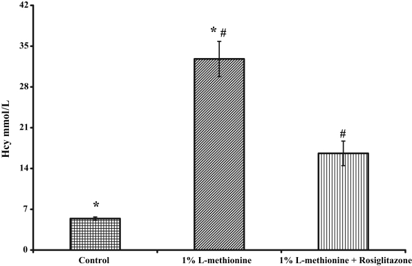 Figure 3)