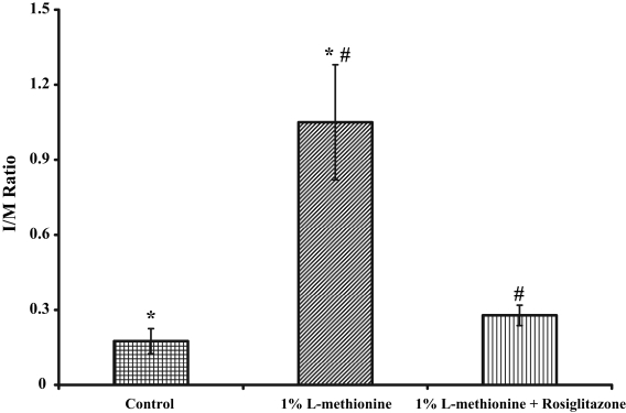 Figure 2)