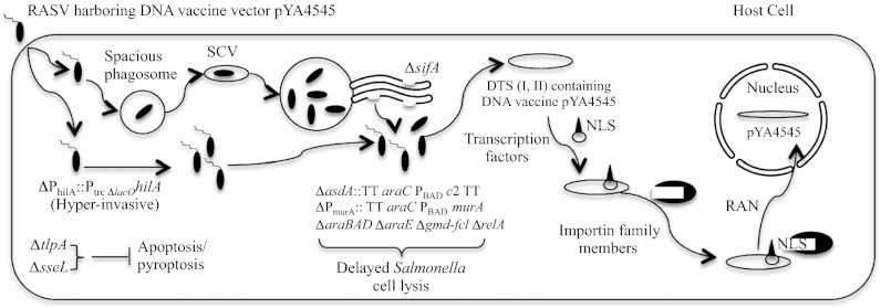 Fig. 3.