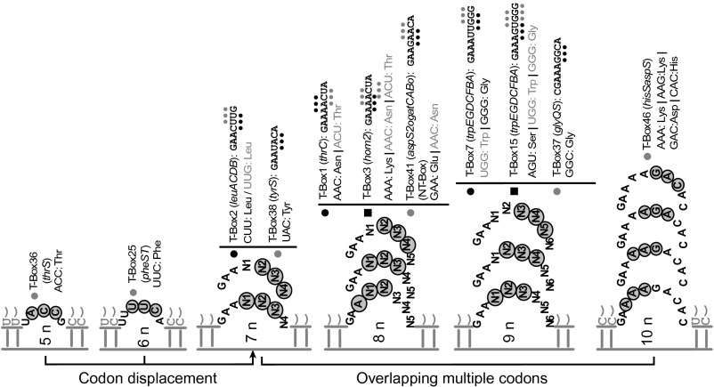 Fig. 2.