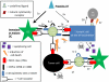 Schematic 1