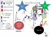Schematic 4
