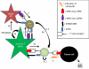 Schematic 3