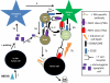 Schematic 6