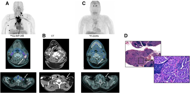 FIGURE 3.