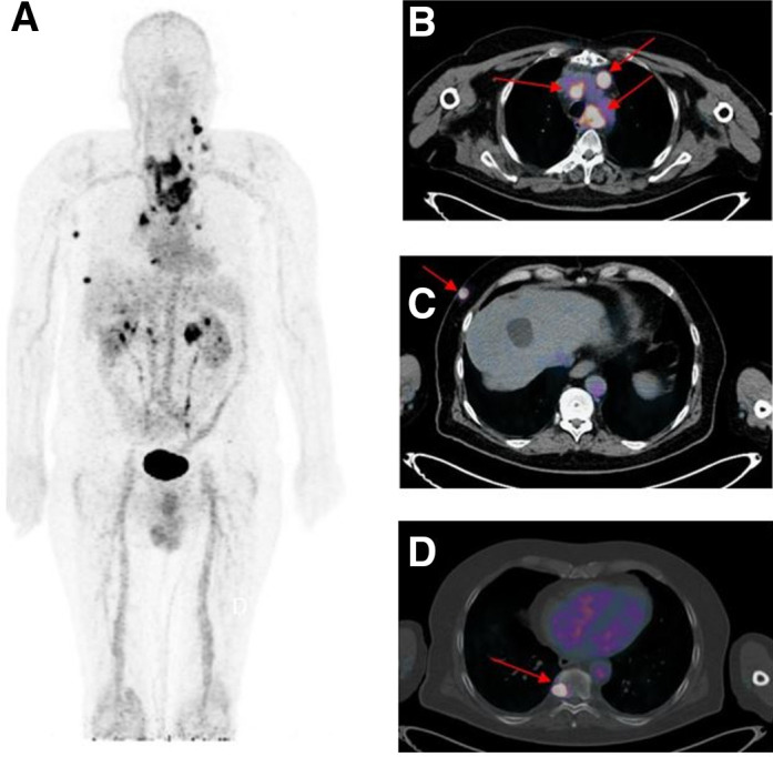 FIGURE 1.