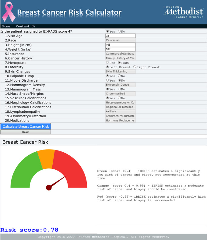 Online iBRISK interface showing 20 fields. iBRISK = intelligent-augmented breast cancer risk calculator.