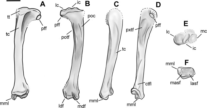 Fig 23