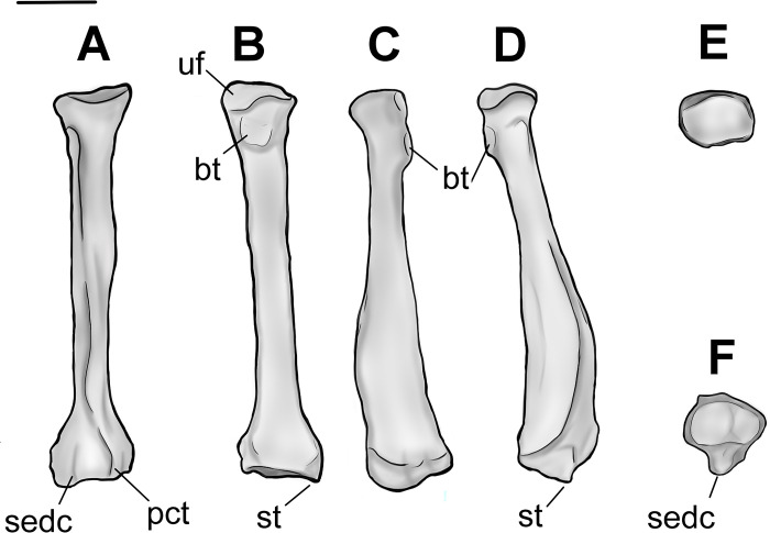 Fig 13