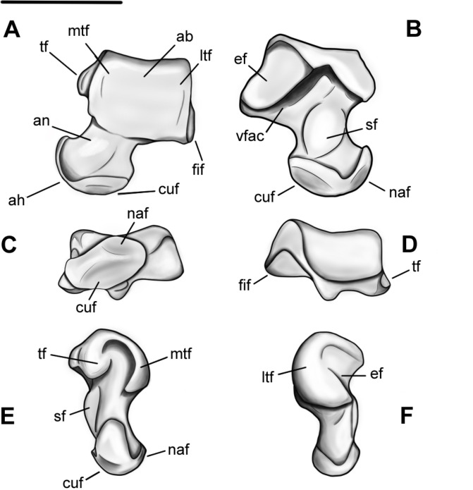 Fig 25