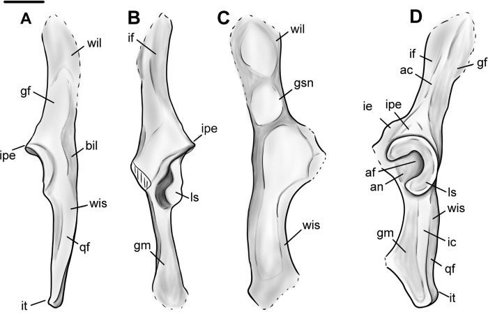 Fig 17