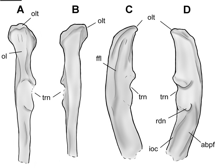 Fig 11