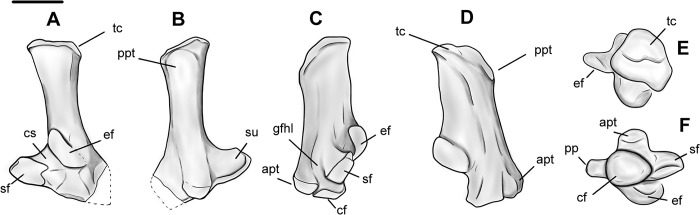 Fig 27