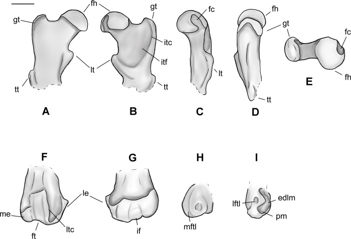 Fig 19